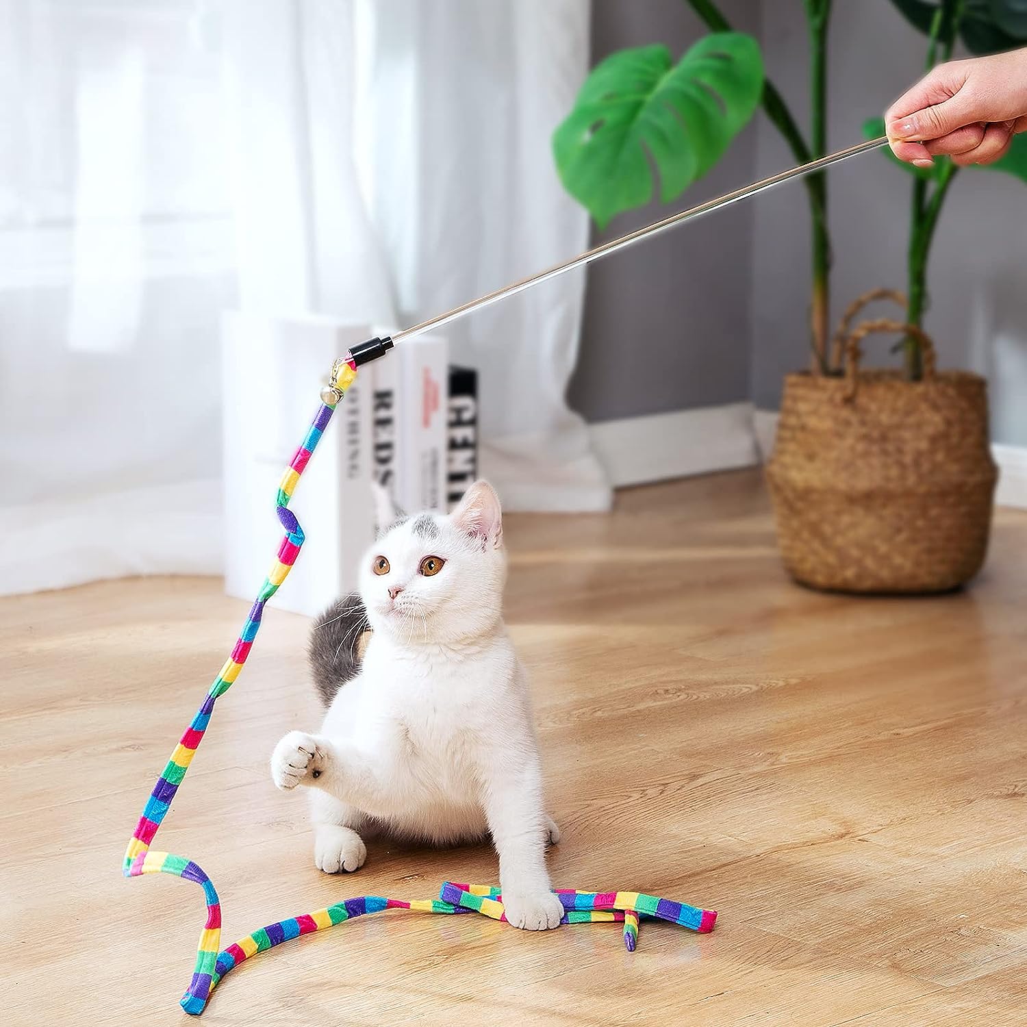 5 Cat Toys Reviewed and Compared