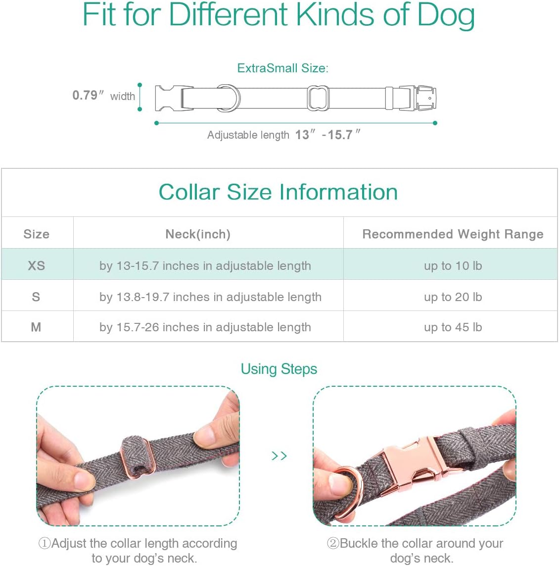 5 Product Reviews: Dog Collars & Leashes Compared