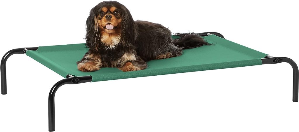 Amazon Basics Cooling Elevated Pet Bed - Green, S