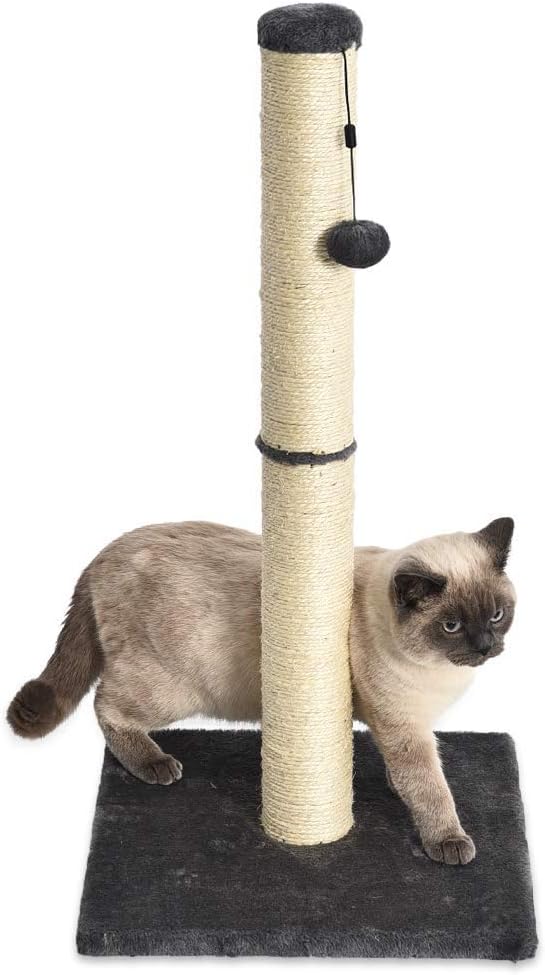 Amazon Basics Medium Cat Scratching Post, 40.01 x 40.01 x 80.01 cm, Grey