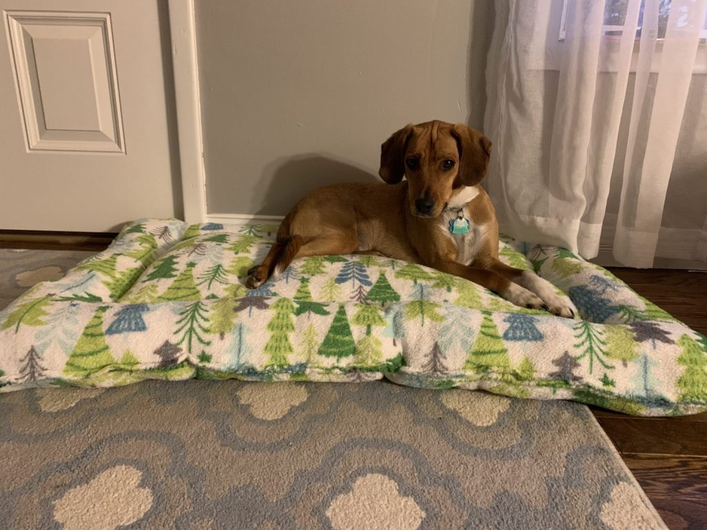 Can a blanket be used as a dog bed?