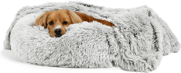 Can a blanket be used as a dog bed?