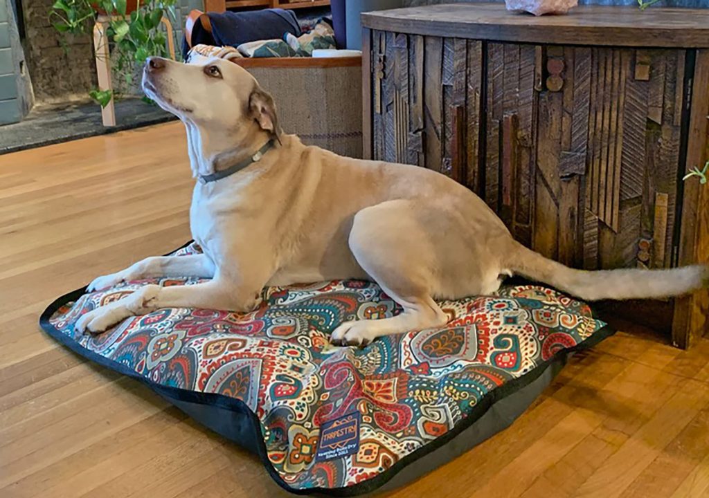 Can a duvet be used as a dog bed?