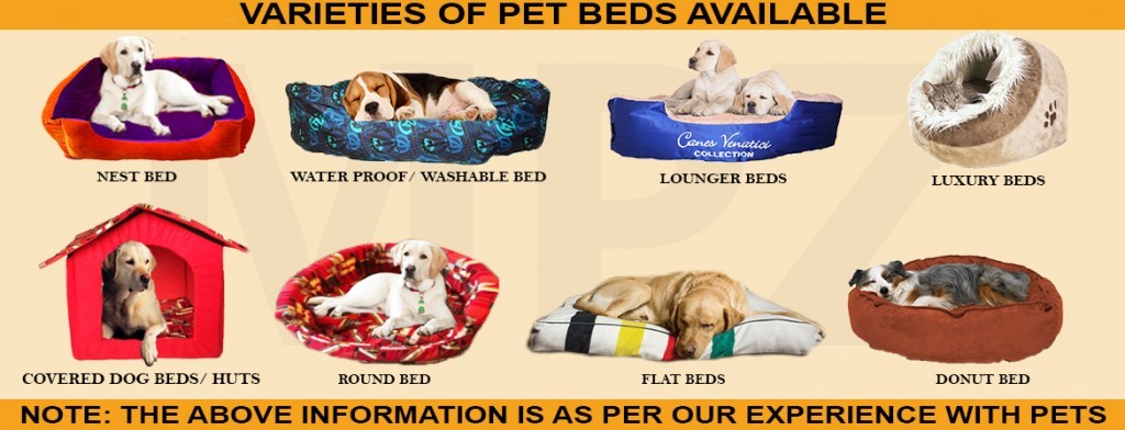 Choosing the Perfect Bed for Your Dog