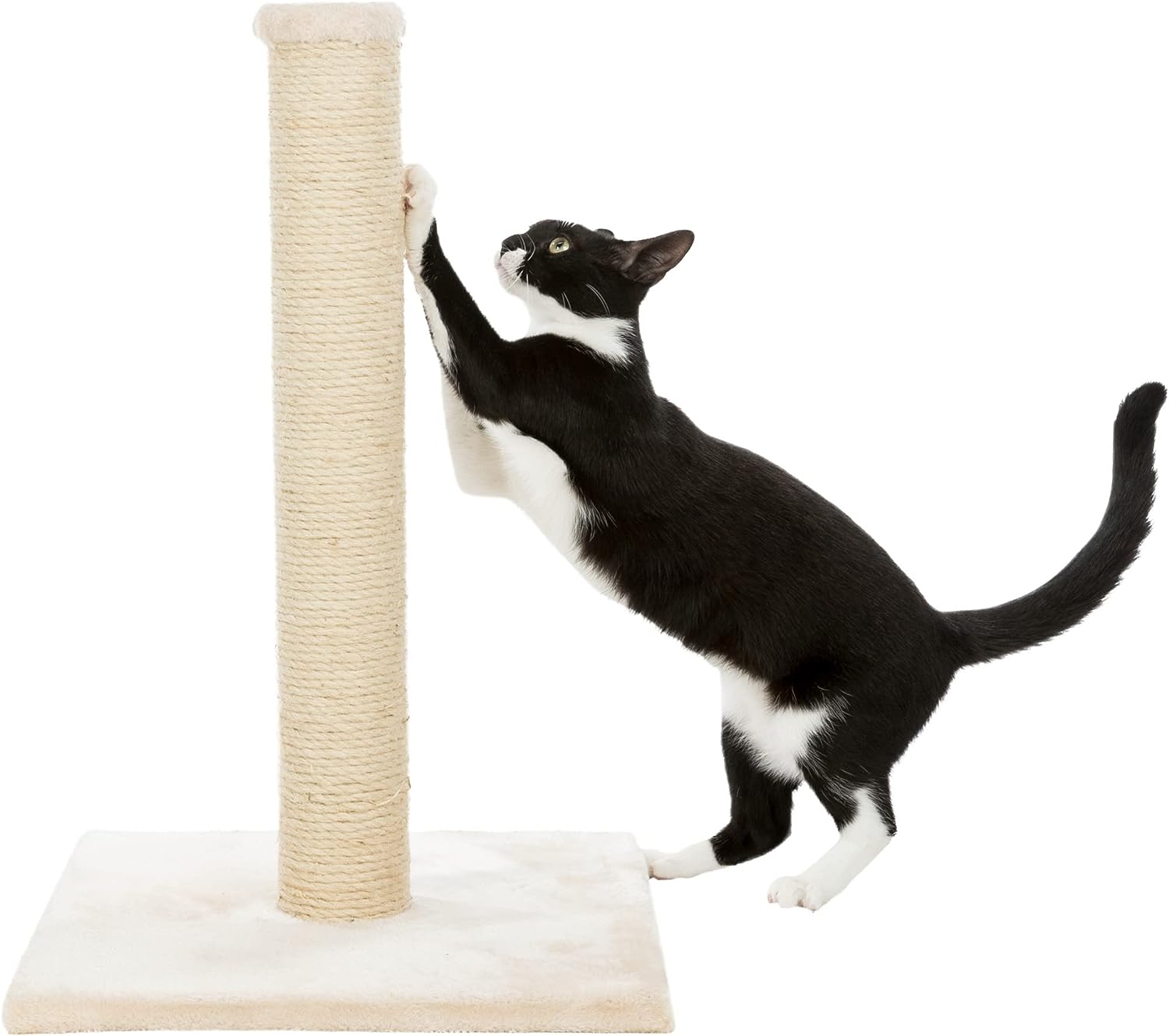 Comparative Review: 5 Cat Scratching Posts for Indoor Cats