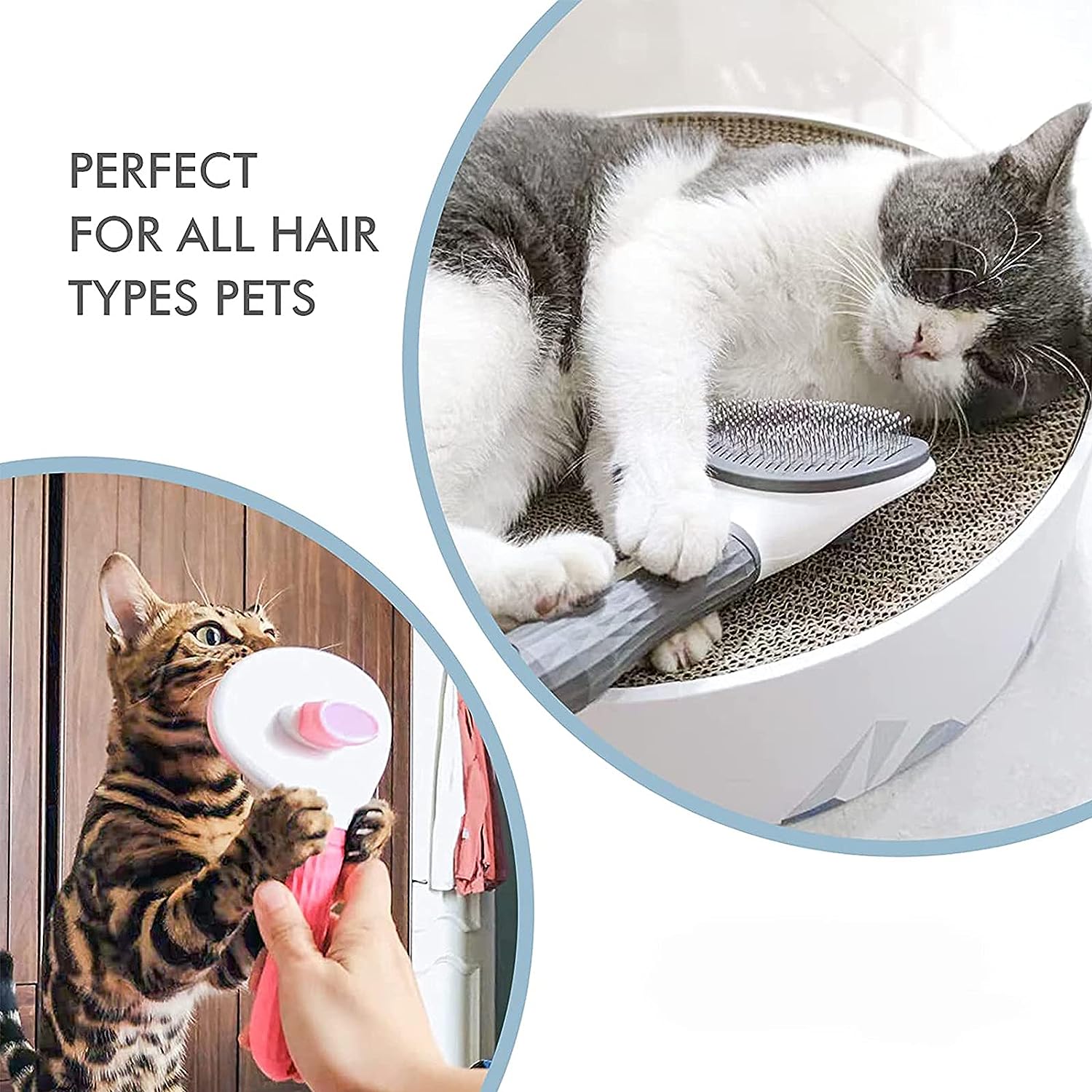 Comparing 5 Cat and Dog Grooming Brushes: A Review