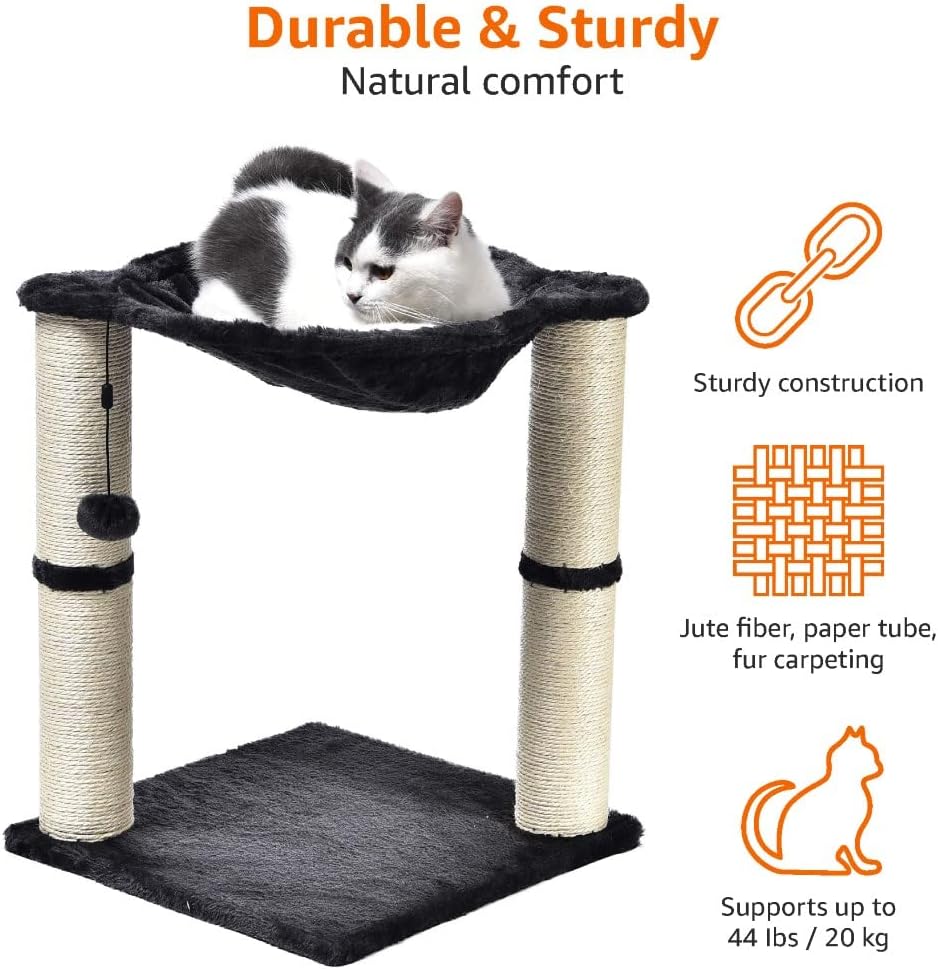 Comparing 5 Cat Scratching Posts: Reviews & Analysis