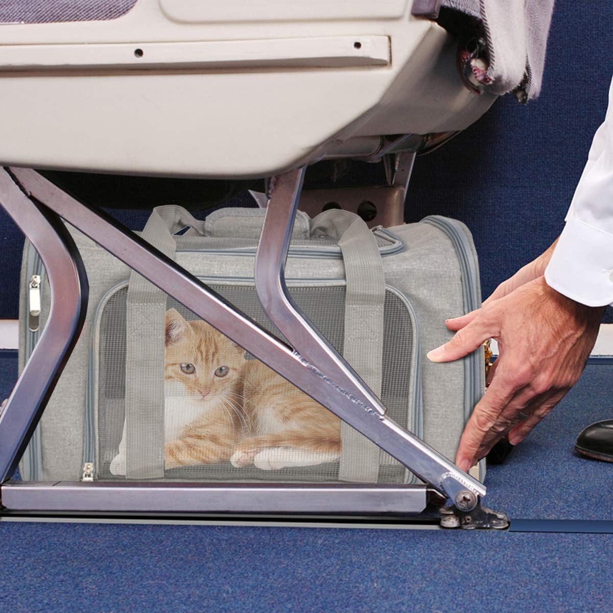 Comparing 5 Pet Carriers for Travel