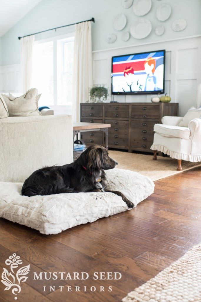 Dog Bed Placement: Bedroom or Living Room? Dog Bed Placement: Bedroom or Living Room?