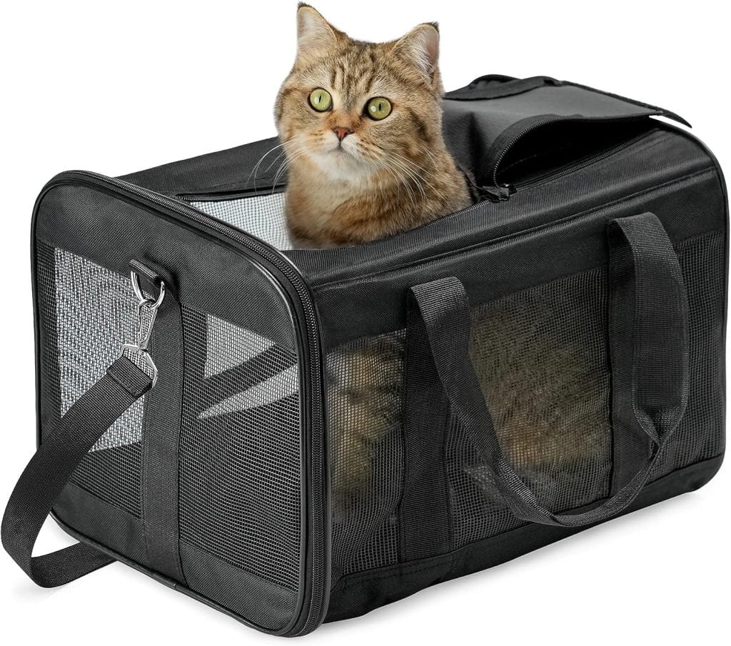 HITSLAM Pet Carrier Cat Carrier Soft Sided Pet Travel Carrier for Cats, Small dogs, Kittens or Puppies, Collapsible,Durable,Airline Approved,Travel Friendly (M)
