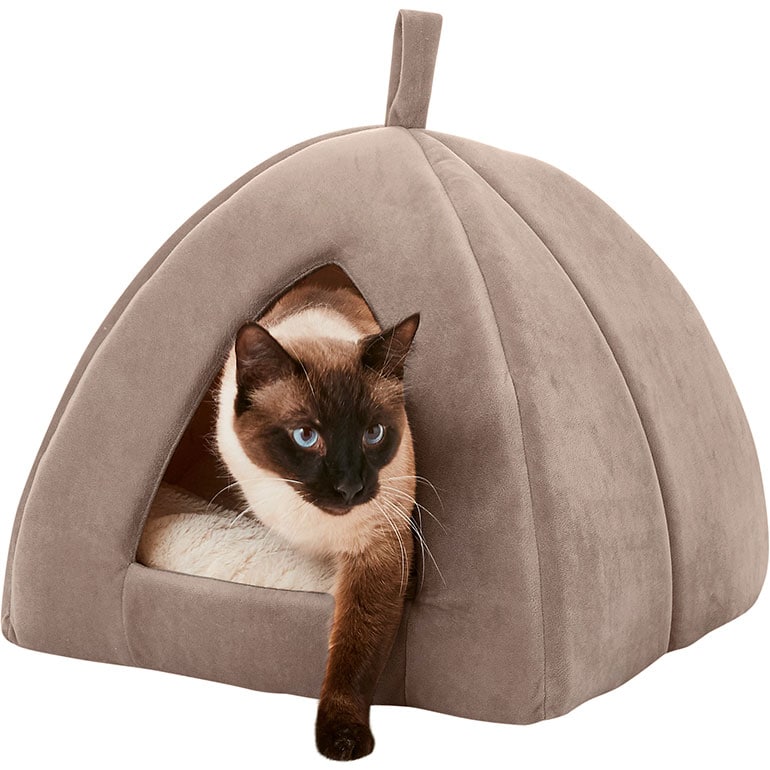 Must-Have Cat Beds for Your Feline Friend