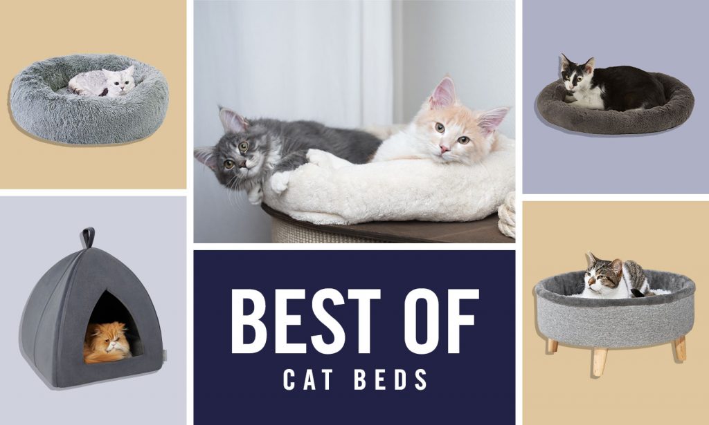 Must-Have Cat Beds for Your Feline Friend