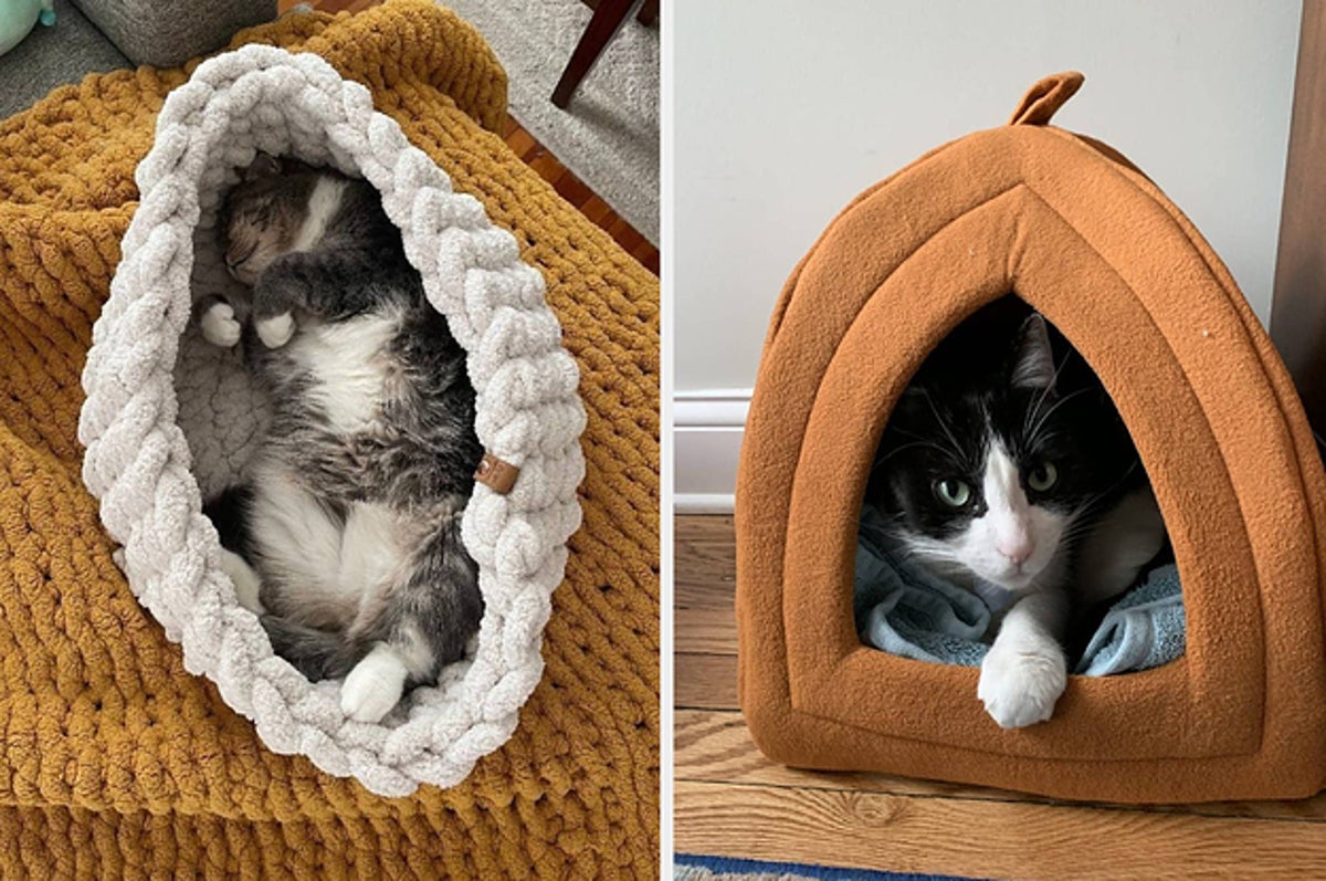 Must-Have Cat Beds for Your Feline Friend