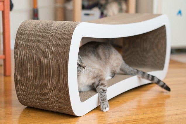 Must-Have Cat Beds for Your Feline Friend