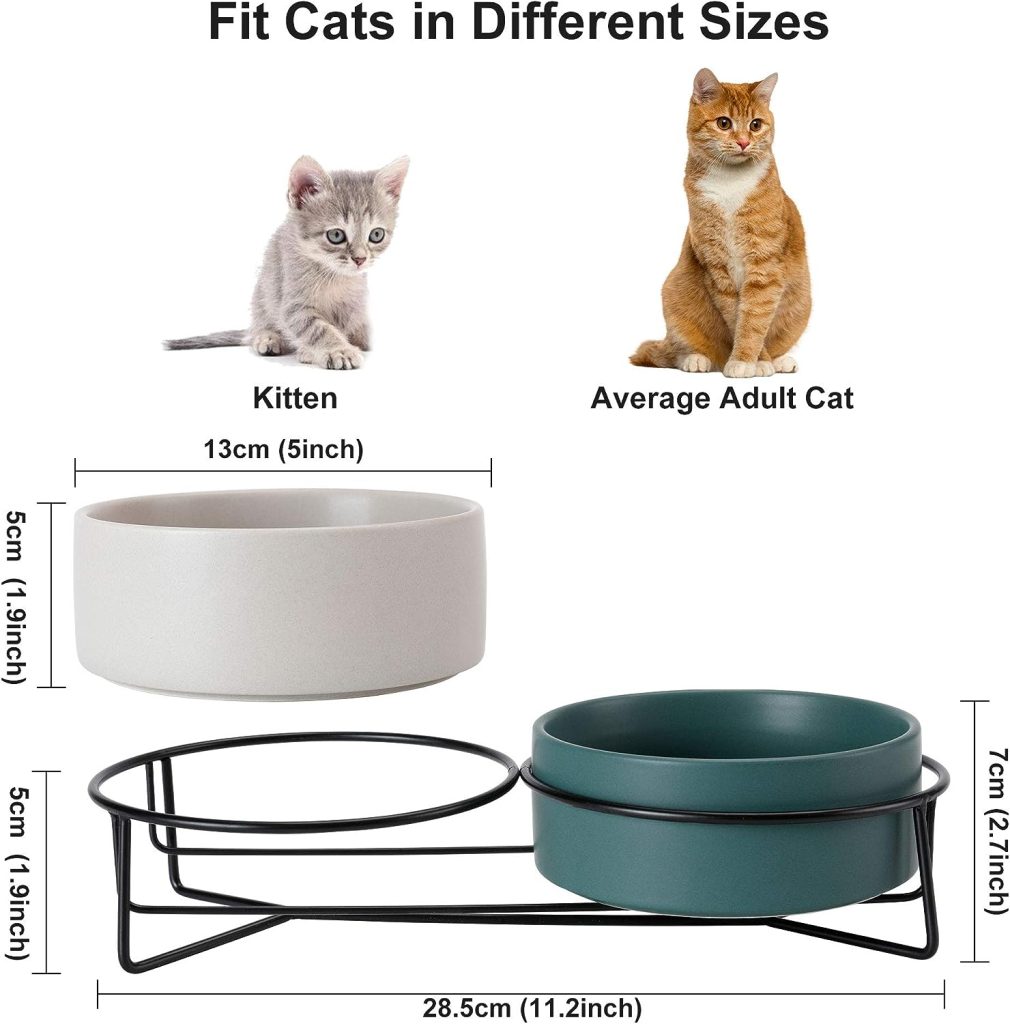 PETTOM Raised Cat Bowls Ceramic Double Cat Food and Water Bowl Set with Steel Stands for Cats and Small Dogs - Anti Vomiting, Spine Protection