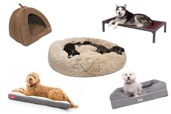 The Best Bed for Your Dog: A Guide to Choosing the Perfect Option