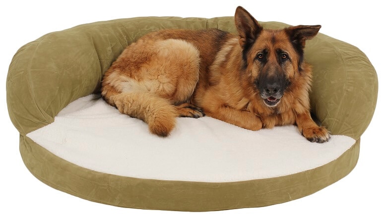 The Importance of Providing Dogs with Their Own Bed