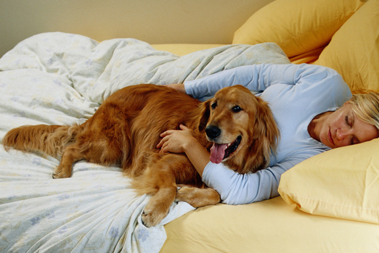 The Joy of Cuddling with Dogs in Bed