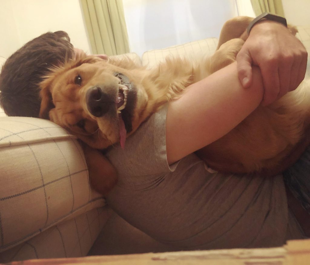 The Joy of Cuddling with Dogs in Bed