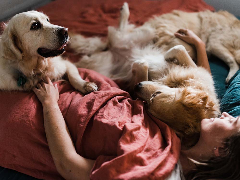 The Joy of Cuddling with Dogs in Bed