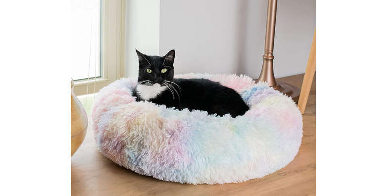 Top 10 Cat Beds for a Cozy Sleep