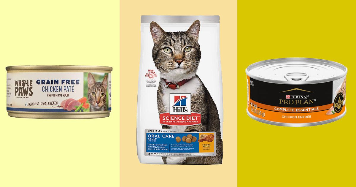 Top 10 Pet Care Products for a Happy Cat