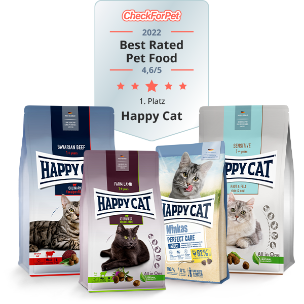 Top 10 Pet Care Products for a Happy Cat