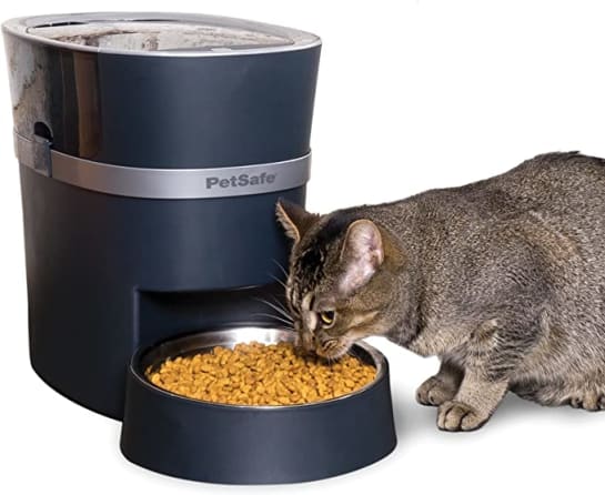 Top Rated Cat Bowls