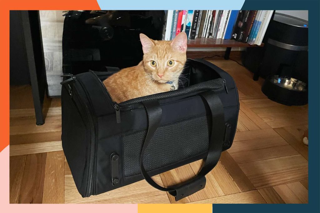 Top-rated Cat Carriers