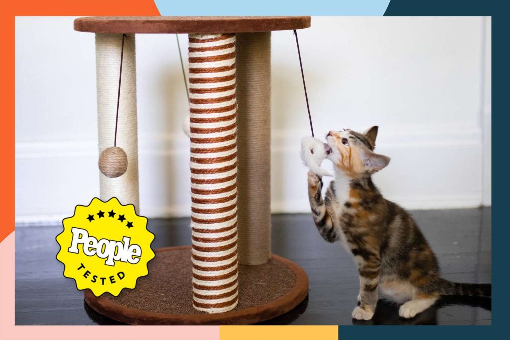 Top Rated Cat Scratching Posts