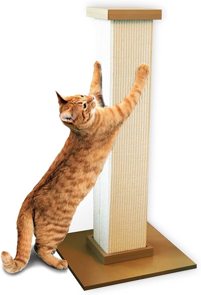 Top Rated Cat Scratching Posts