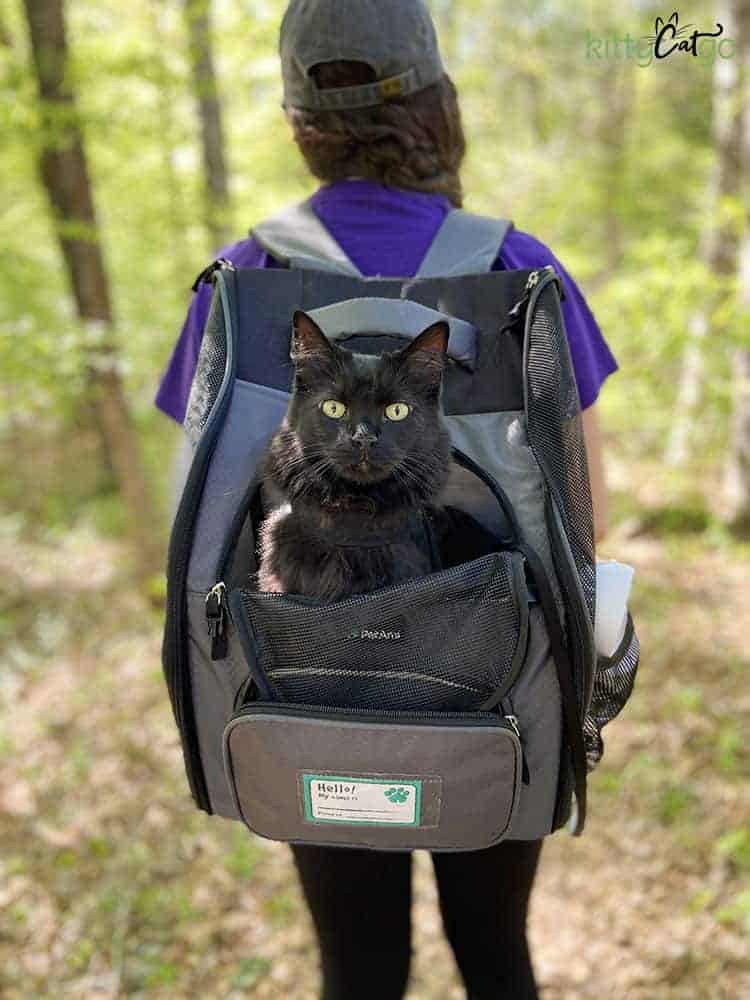 Ultimate Guide to Cat Carriers