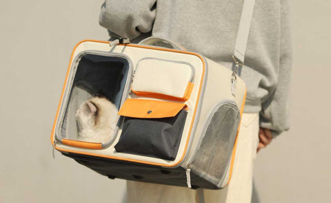 Ultimate Guide to Cat Carriers