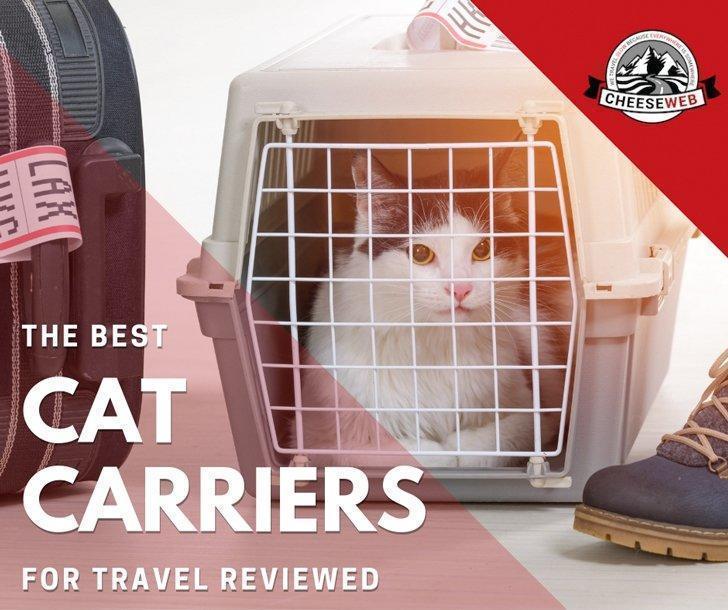 Ultimate Guide to Cat Carriers