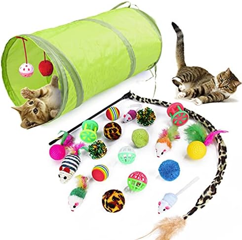 WeFine Cat Toys 21 Pcs Kitten Toys Cat Interactive Toys Set for Indoor Cats