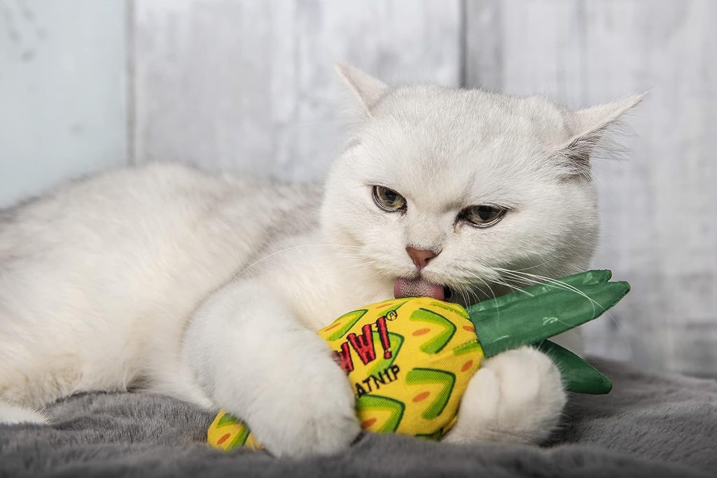 YEOWWW! Pineapple Catnip Toy For Cats, Yellow, 7, for All Breed Sizes