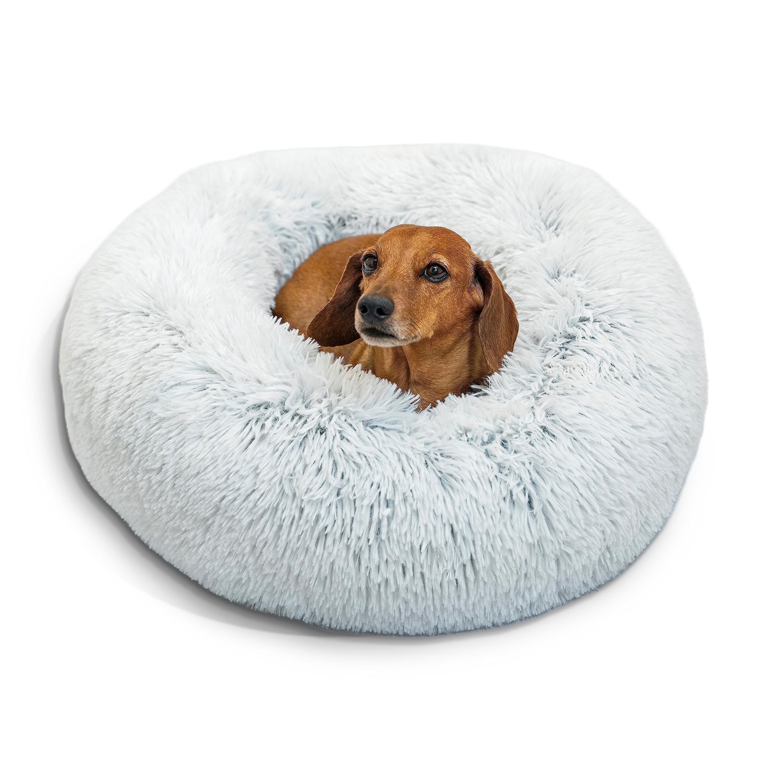 Alternative options to a dog bed