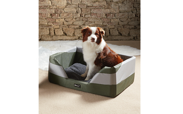 Are Aldi dog beds good for your furry friend?