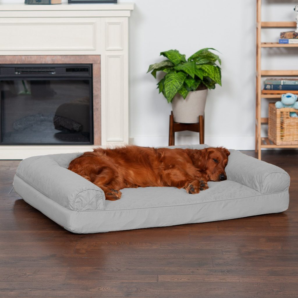 Are expensive dog beds worth it?