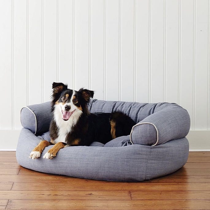 Are expensive dog beds worth it?