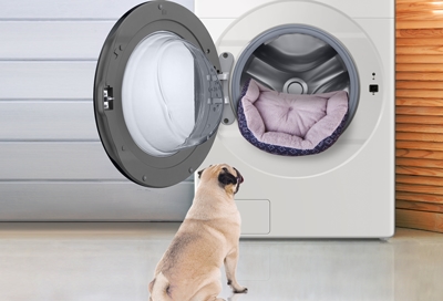 Can I wash a dog bed in the washing machine?