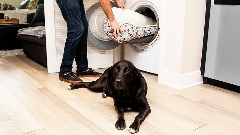 Can I wash a dog bed in the washing machine?