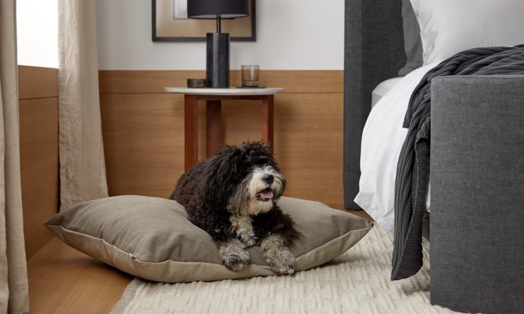 Choosing the Perfect Bedding for Your Dog