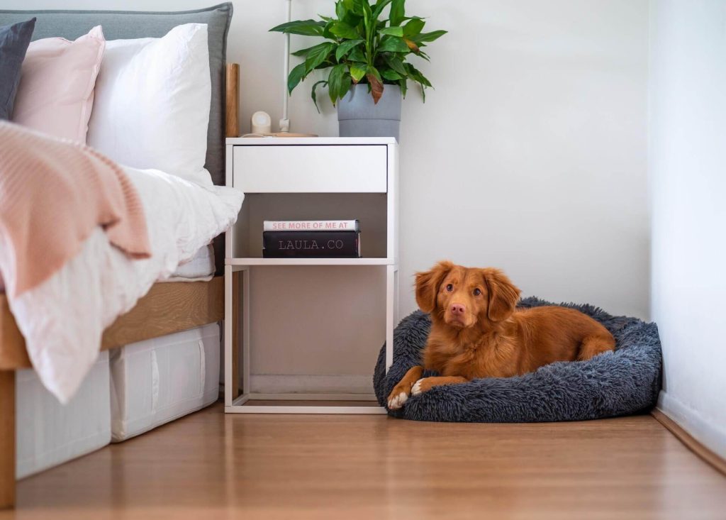 Choosing the Perfect Spot for Your Dog Bed in the Bedroom