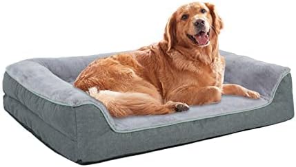 Comparing 5 Dog Beds for Every Canine Comfort