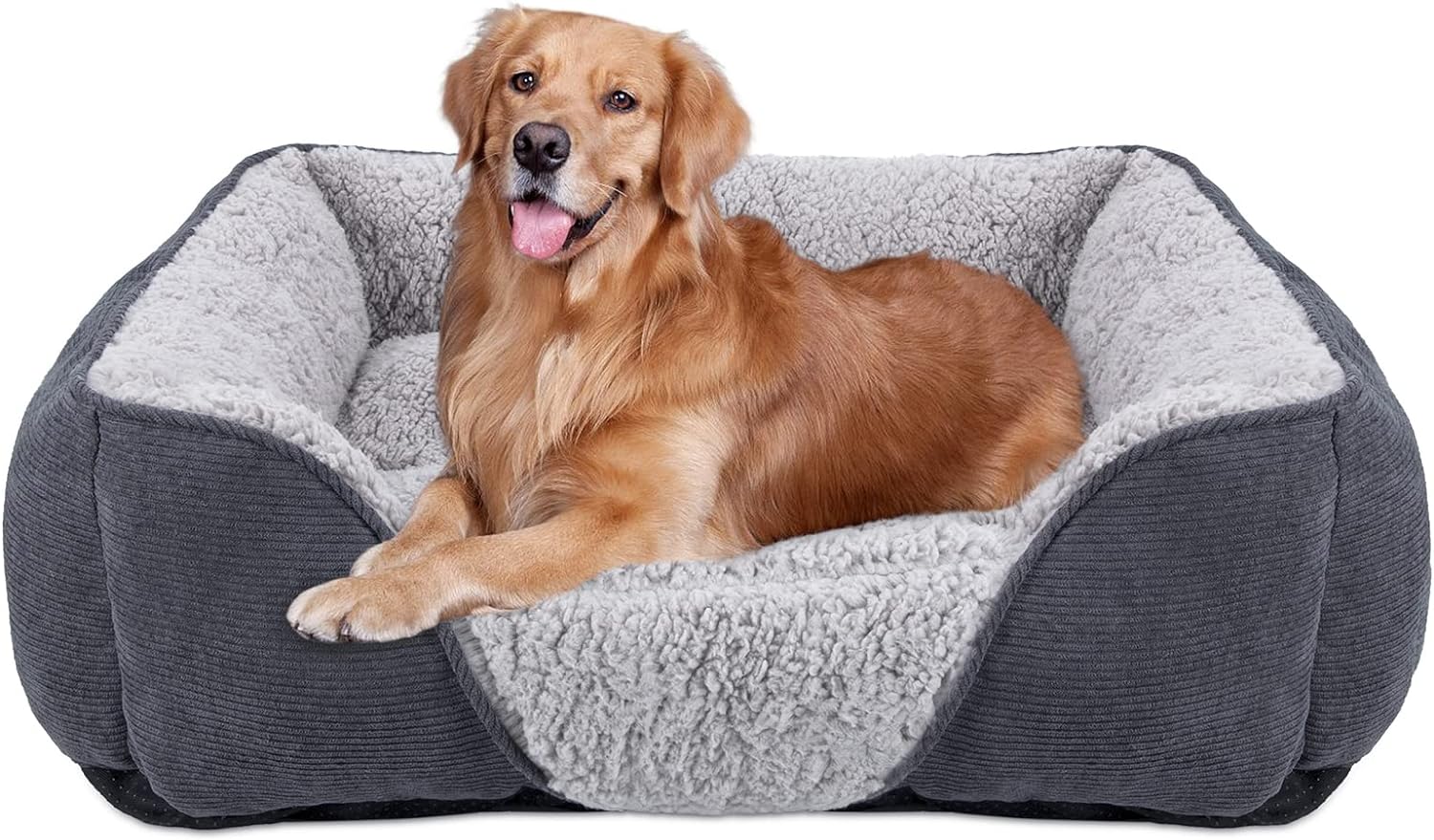 Comparing Comfort: Dog Beds Reviewed & Compared