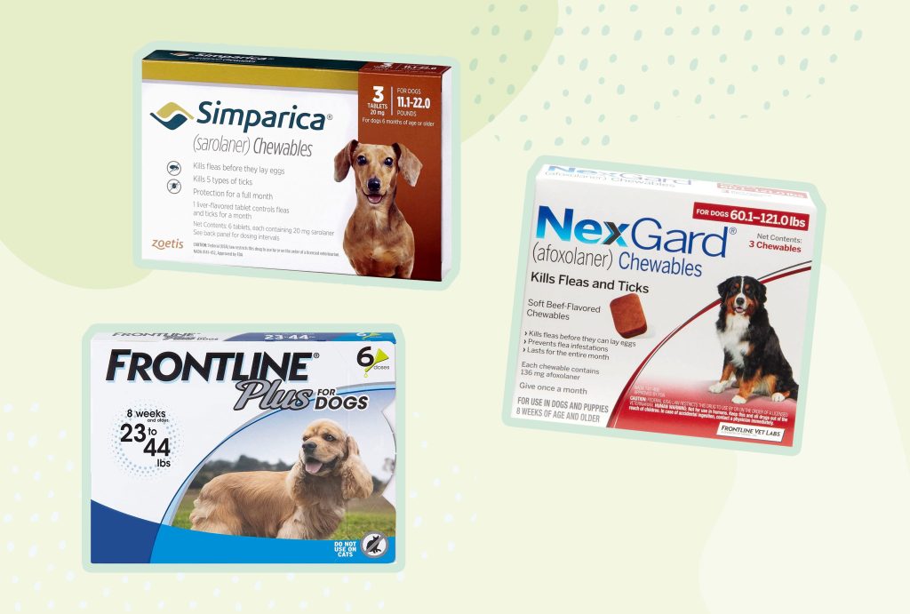 Discover the Best Pet Care Products for Flea and Tick Control