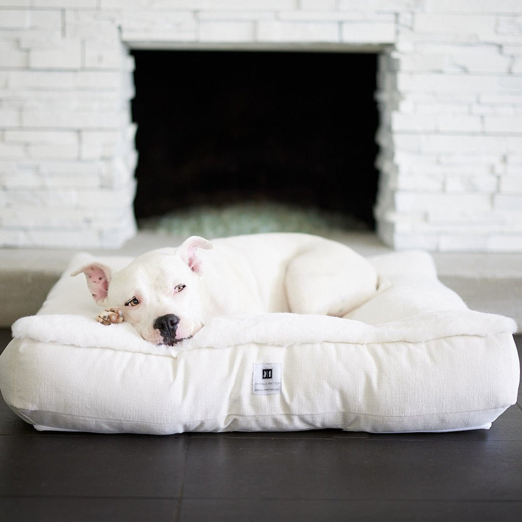 Do dogs prefer round or square beds?