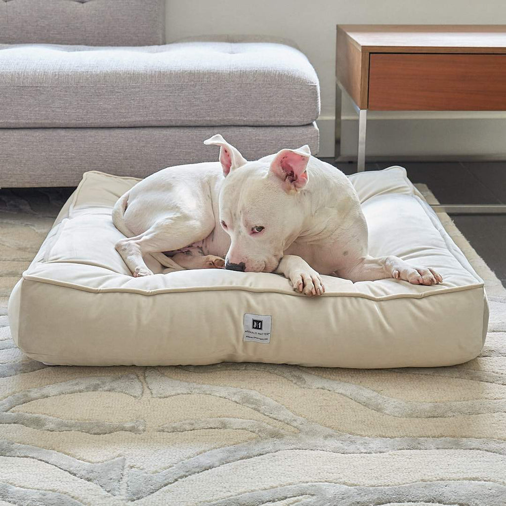 Do dogs prefer round or square beds?