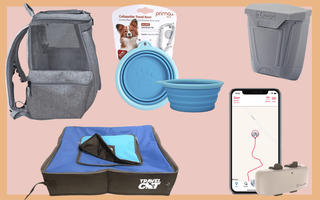 Essential Pet Care Products for Traveling